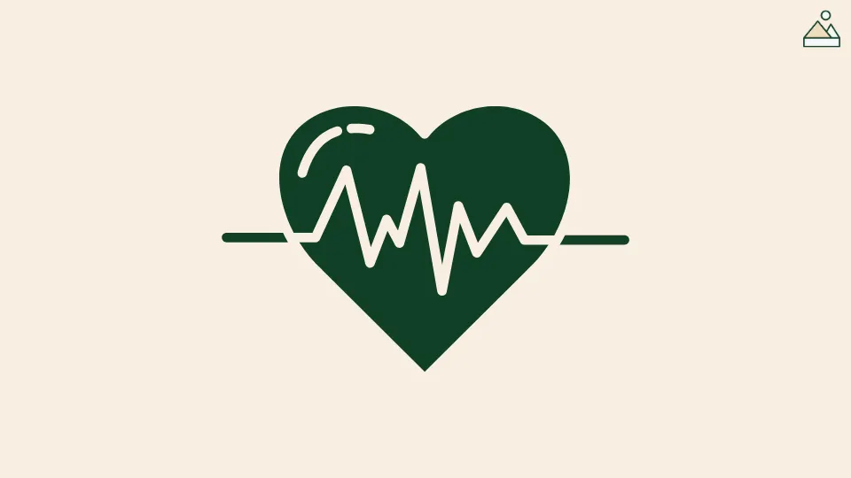 Calculateur de zones de fréquence cardiaque